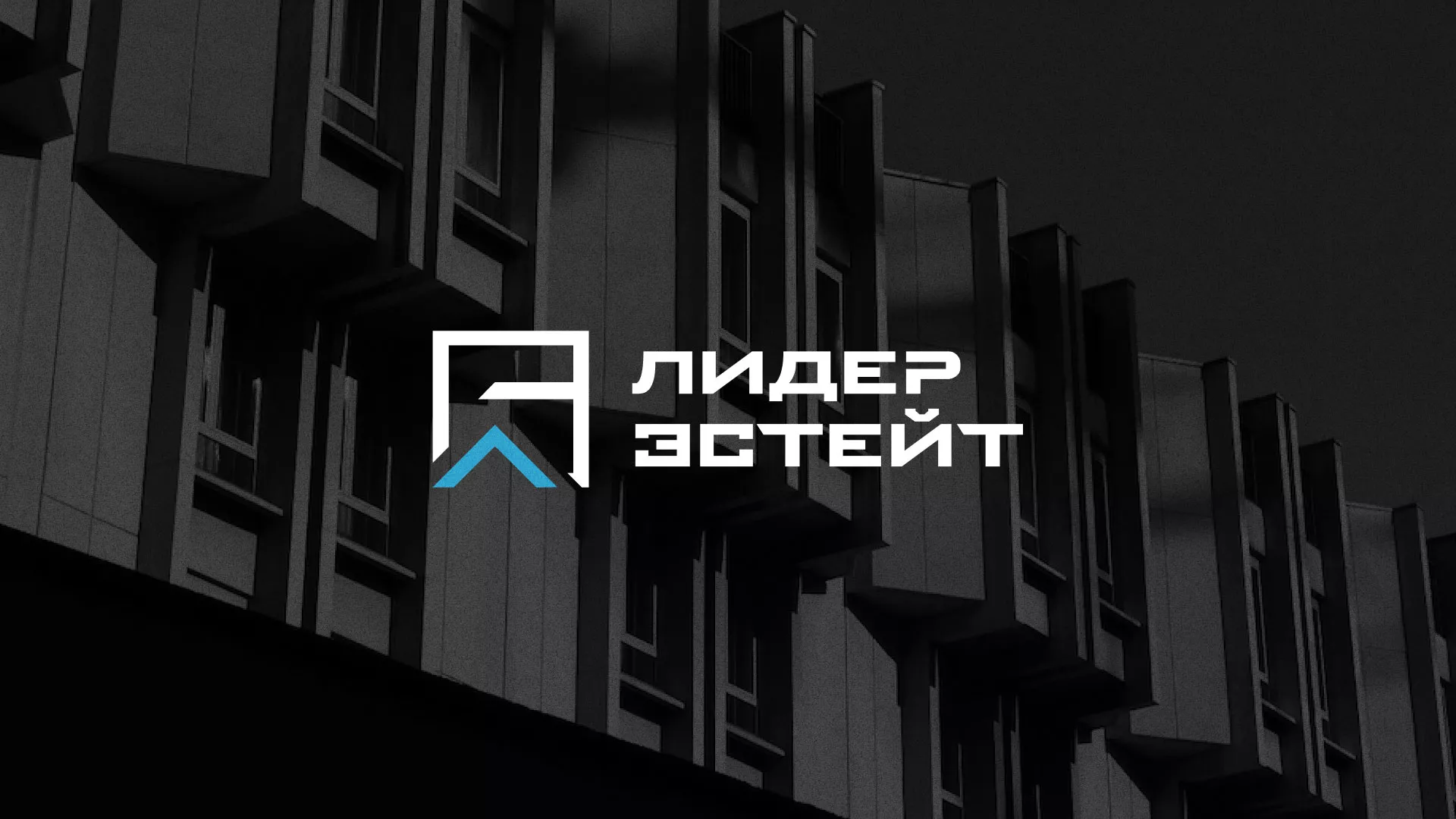 Разработка логотипа агентства недвижимости «Лидер Эстейт» в Богучаре